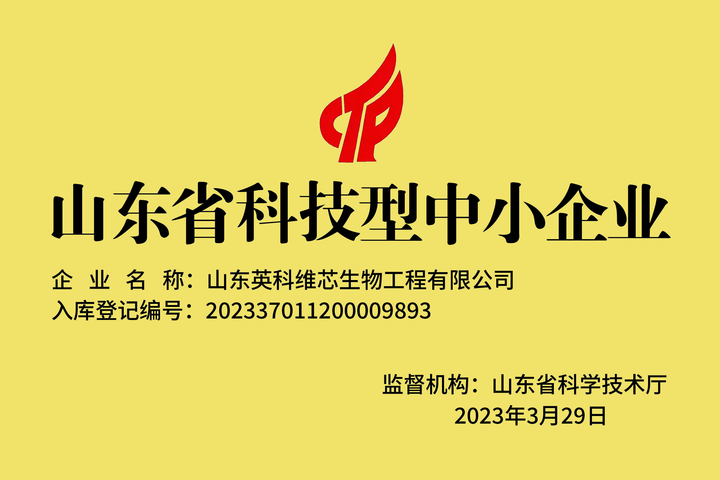 山东省科技型中小企业