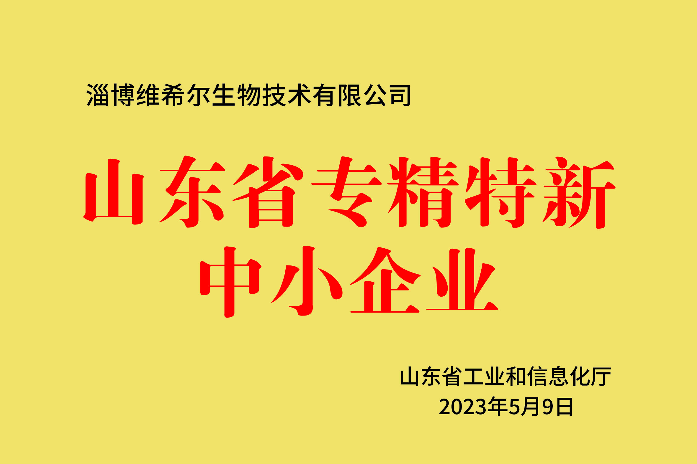 山东省专精特新中小企业
