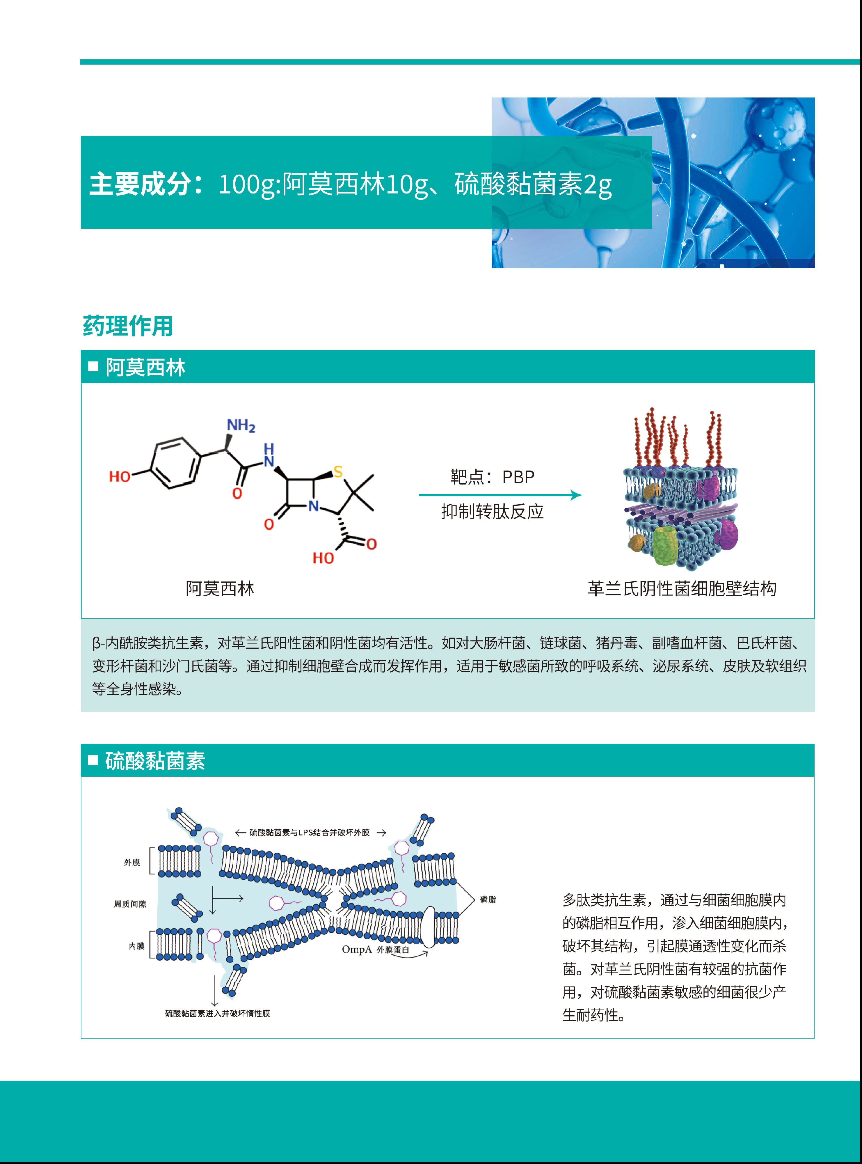 维言青2.png