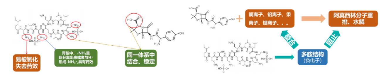 阿莫西林硫酸粘菌素结构.png