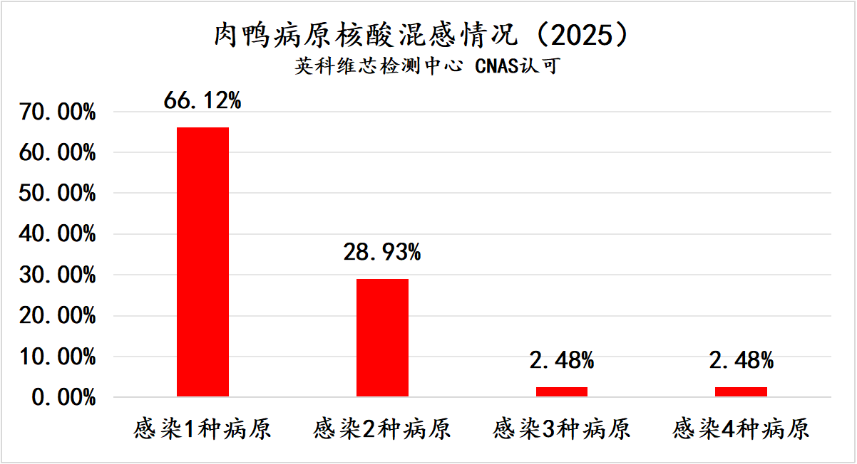 2025年肉鸭常发疾病核酸检测情况汇总分析1.png