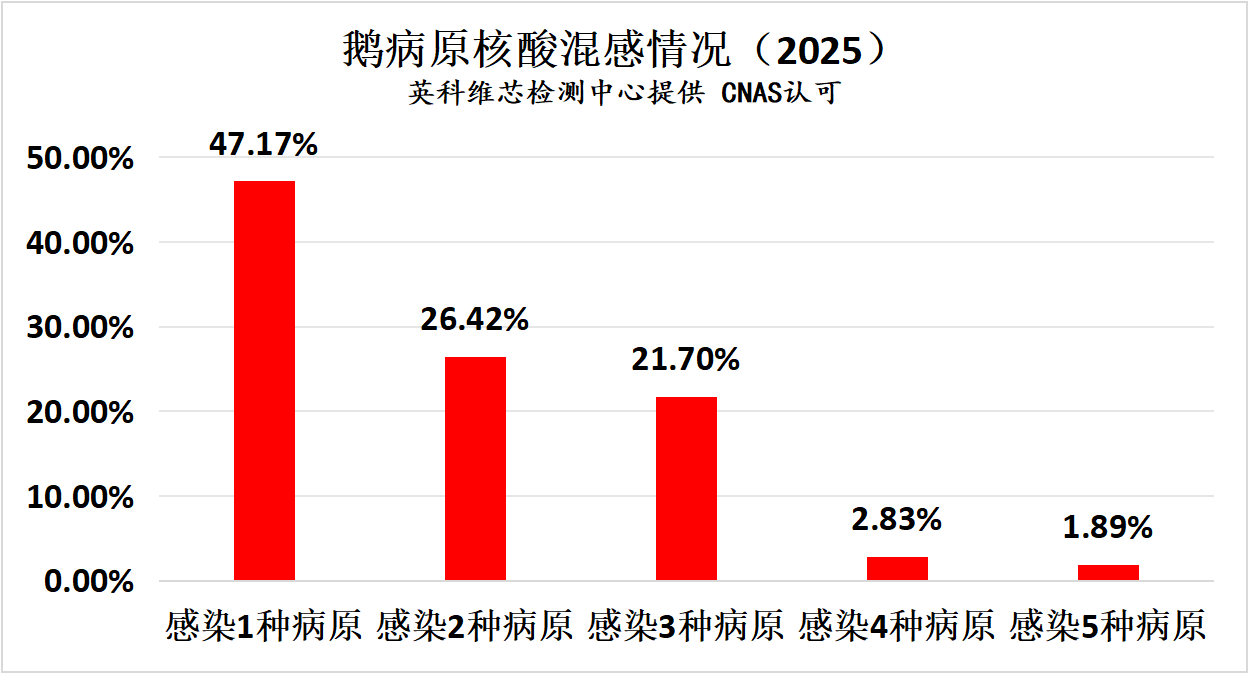2025年鹅常发疾病核酸检测情况汇总分析1.png