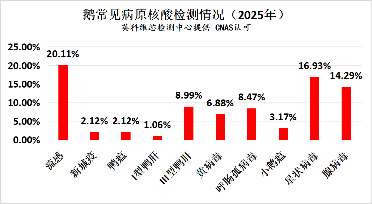 2025年鹅常发疾病核酸检测情况汇总分析2.png