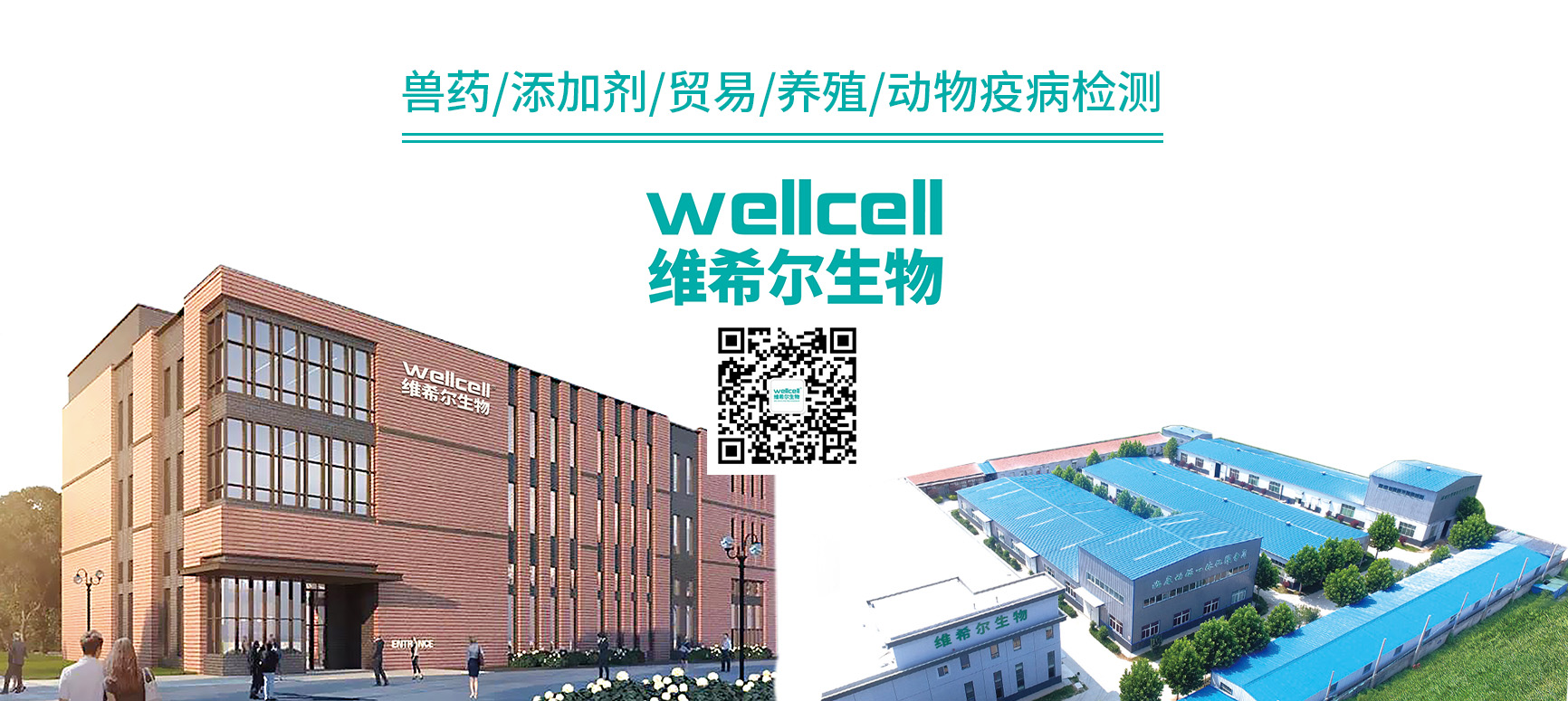 底面2.jpg