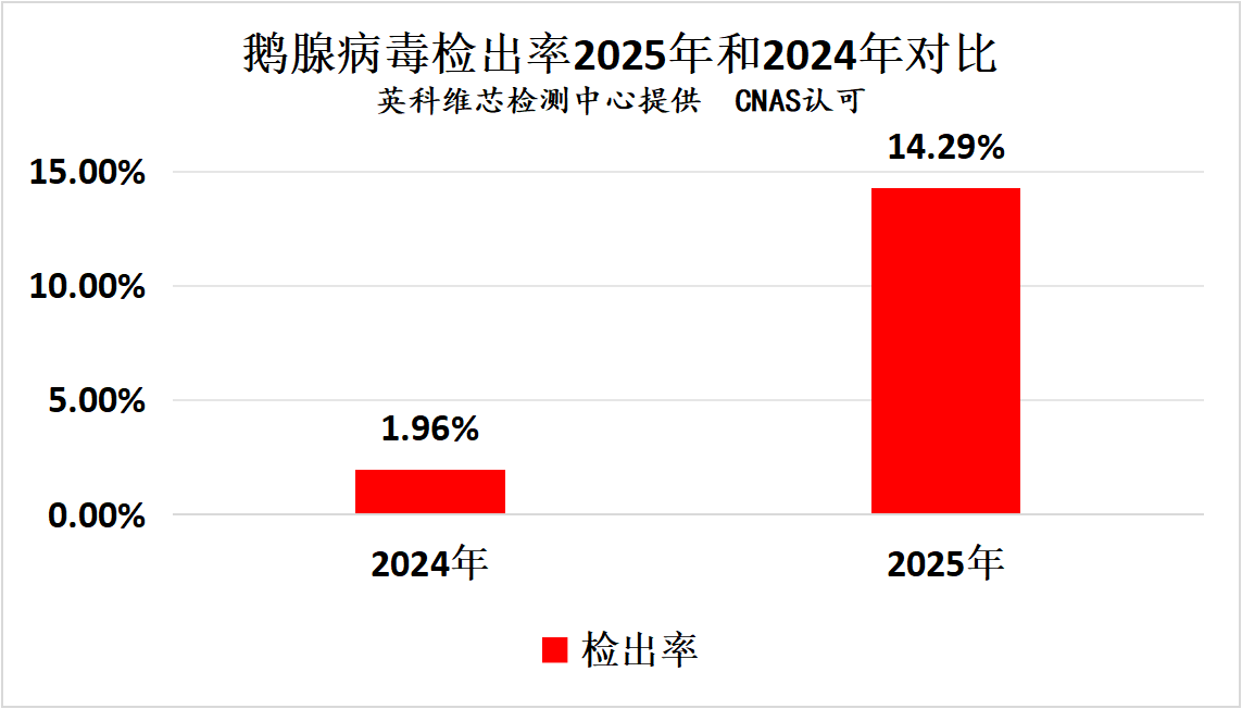 2025年鹅常发疾病核酸检测情况汇总分析7.png