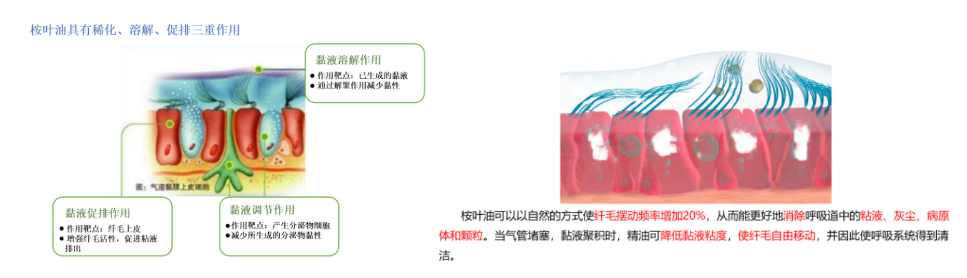 成果3002.png