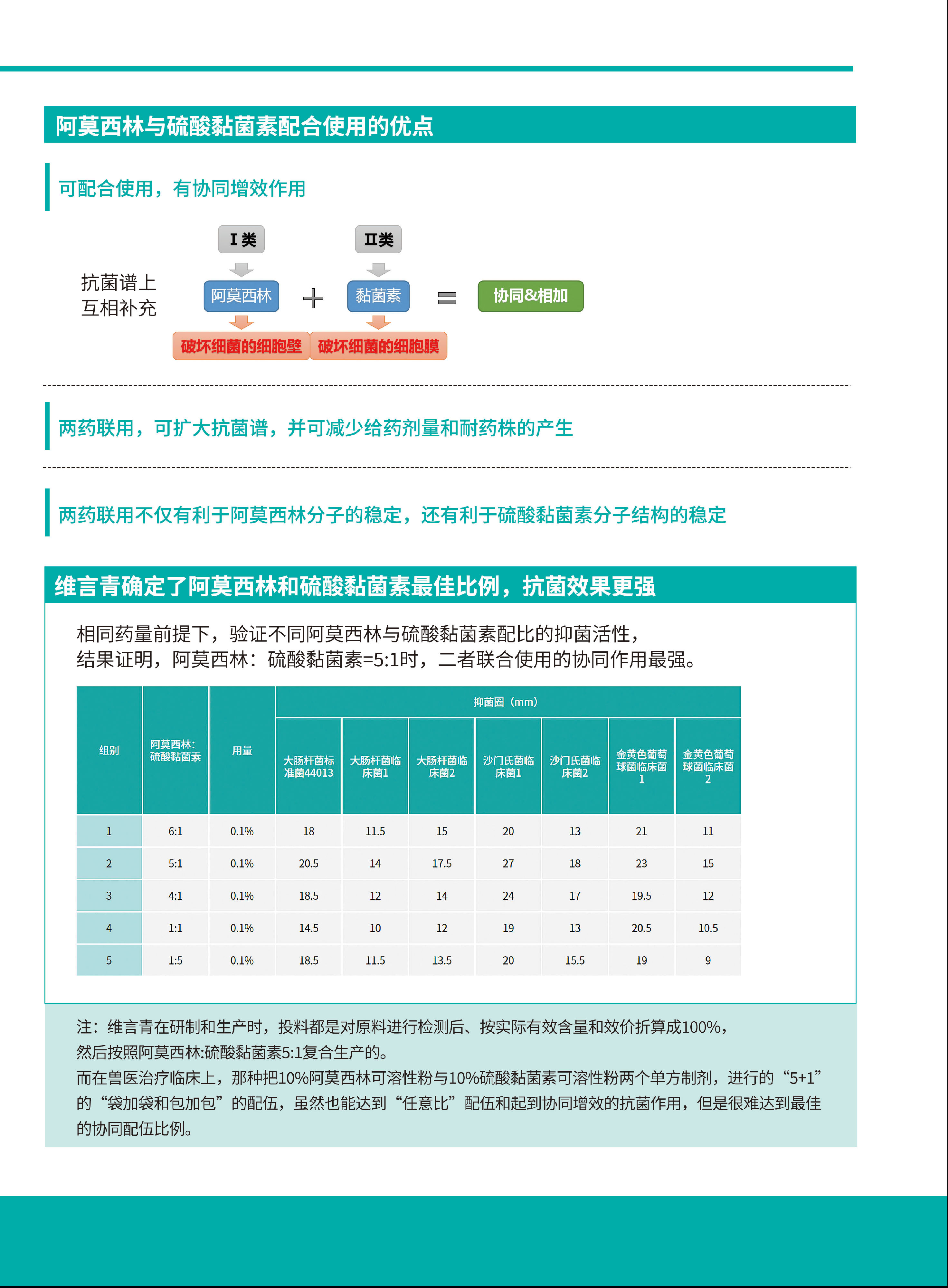 维言青3.png