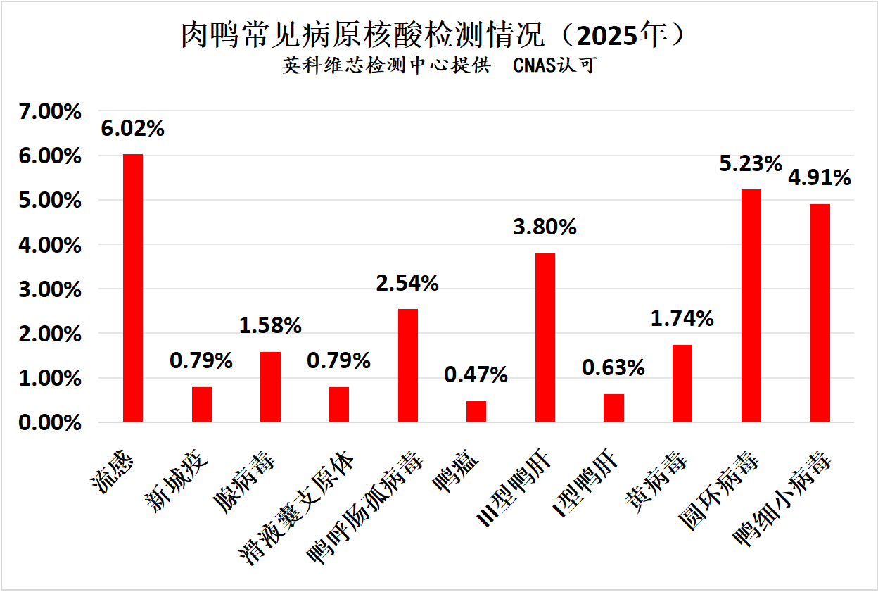 2025年肉鸭常发疾病核酸检测情况汇总分析2.png
