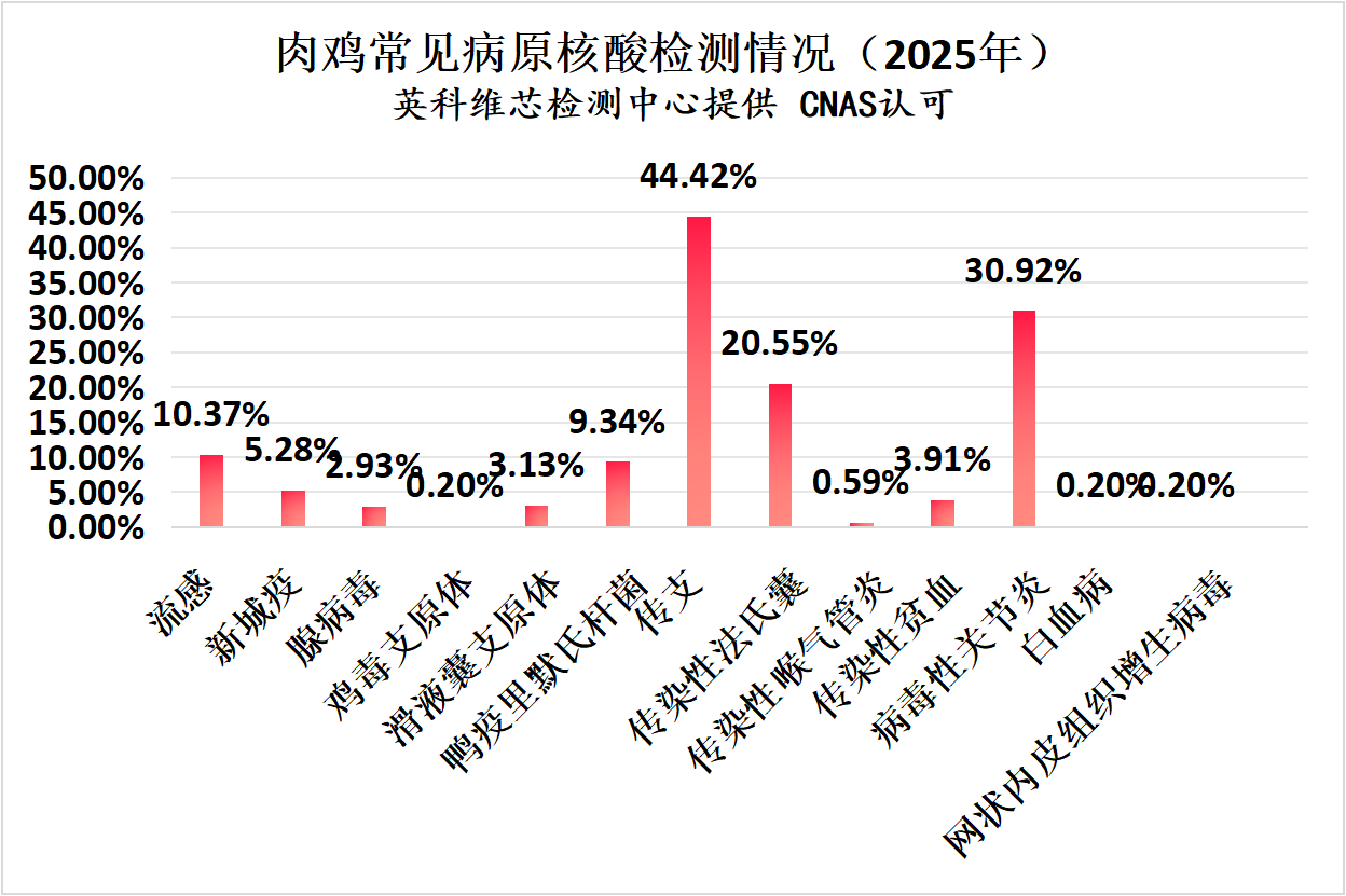 2025年肉鸡常发疾病核酸检测情况汇总分析2.png